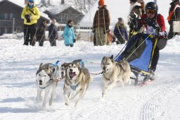 Lenk 2012 SM